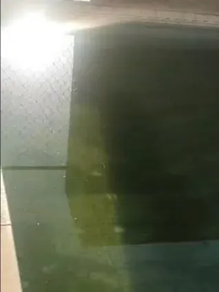 Antes: piscina com a água verde-escura, sem dar para ver o fundo