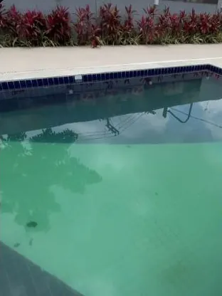 Antes: piscina com a borda de pedra clara e a água verde