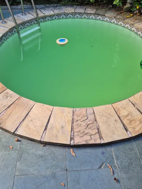 Antes: piscina redonda com a água verde